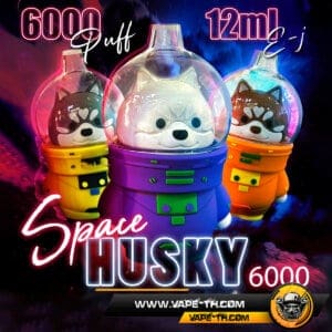 SPACE HUSKY 6000 PUFFS